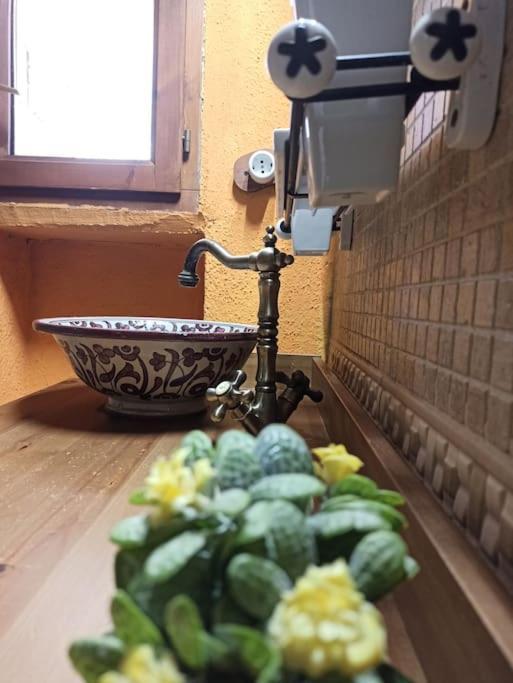 Raco Del Trinquet Holiday home Arboli