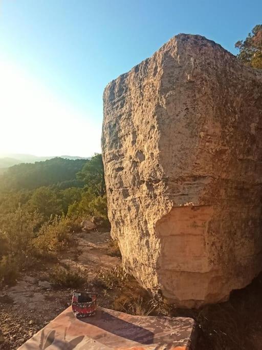 Hébergement de vacances Raco Del Trinquet Arboli